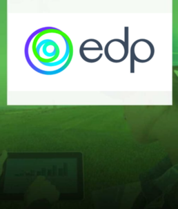 MMDJ EDP